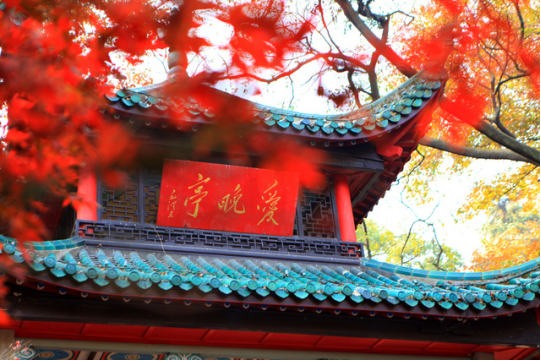 &#79;&#66;&#27431;&#23453;&#40;&#20013;&#22269;&#41;&#20307;&#32946;&#23448;&#26041;&#32593;&#31449;&#31185;&#25216;&#32929;&#20221;&#26377;&#38480;&#20844;&#21496;