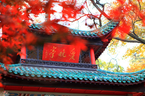 &#79;&#66;&#27431;&#23453;&#40;&#20013;&#22269;&#41;&#20307;&#32946;&#23448;&#26041;&#32593;&#31449;&#31185;&#25216;&#32929;&#20221;&#26377;&#38480;&#20844;&#21496;